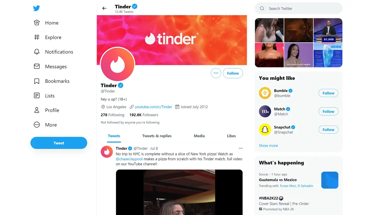 Tinder Twitter Profile